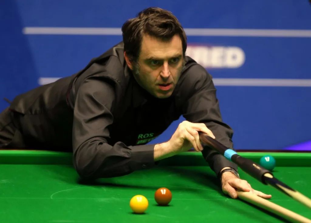 他们的固有 他们的固有